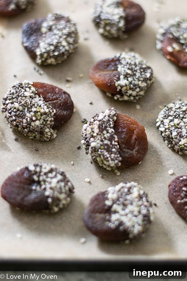 Golden Apricot Chocolate Chia Delights 2 Chocolate Chia Apricots