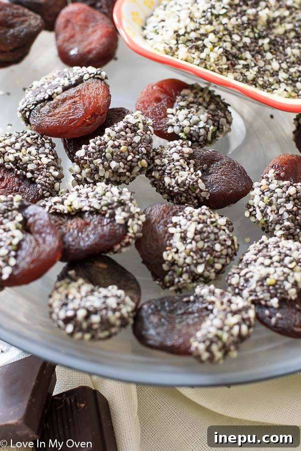 Golden Apricot Chocolate Chia Delights 3 chocolate chia apricots