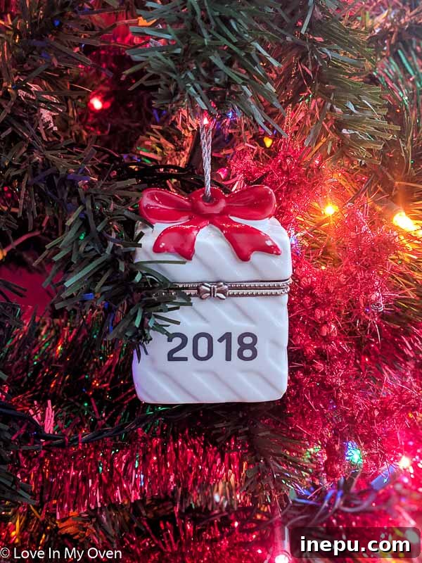 Chapter 11 - 2018 2 Embracing the Journey: A Personal Reflection on 2018 and Welcoming the New Year
