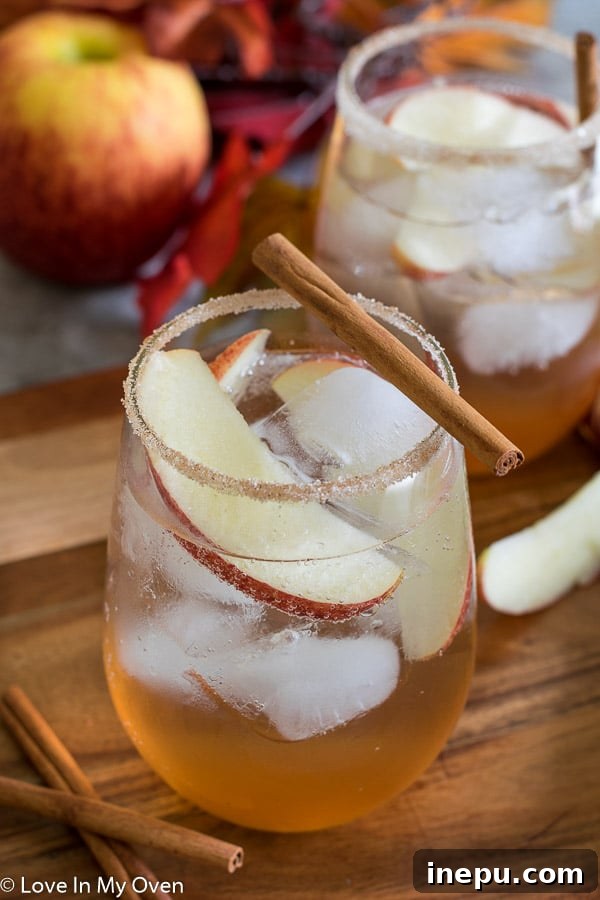Chapter 11 - 2018 5 Apple Cinnamon Gin Fizz in a tall glass