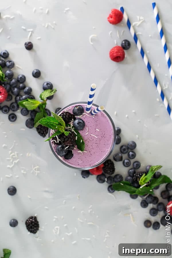 Vibrant Low-Carb Blueberry Smoothie