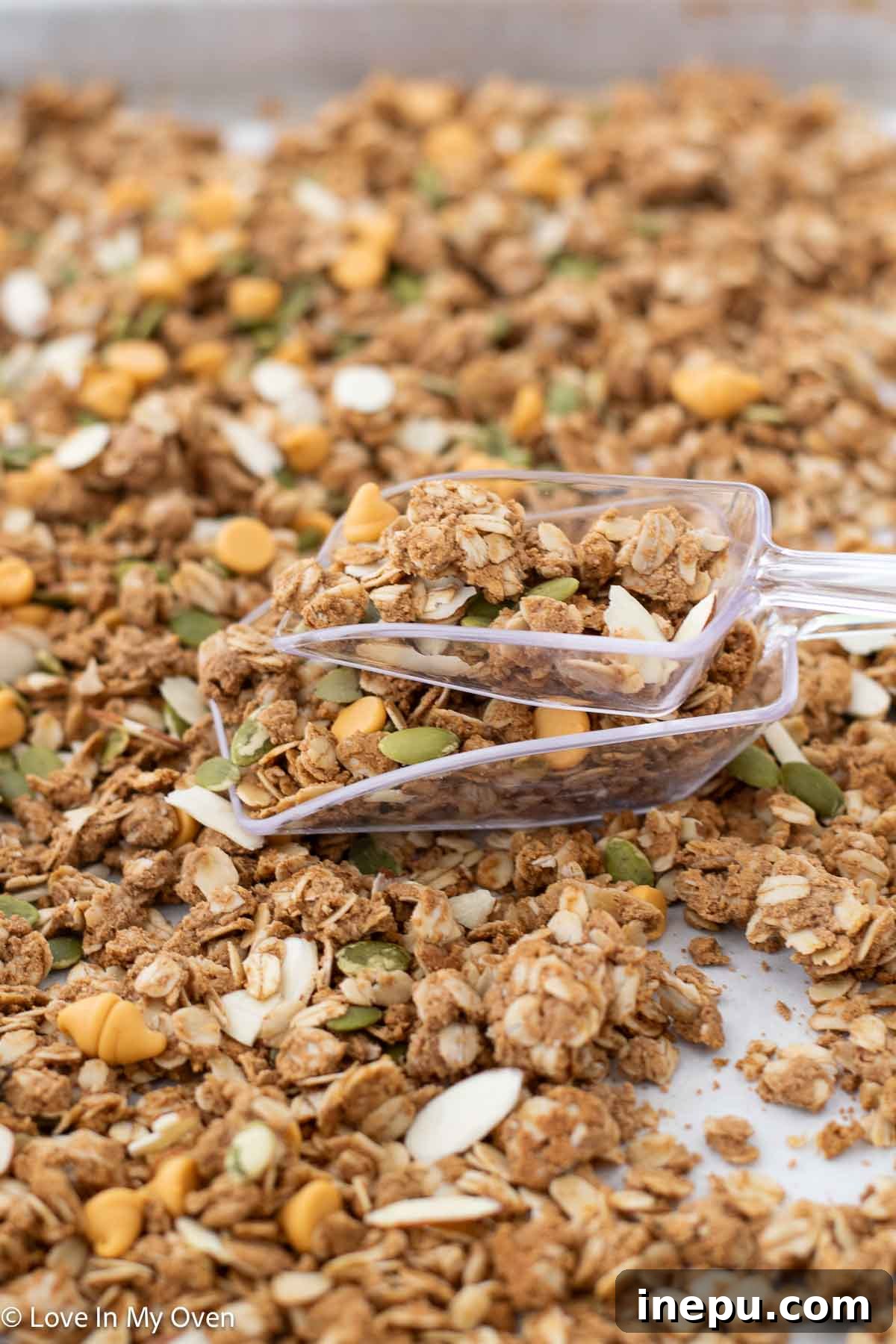 High-Protein Granola Recipe for Extra Energy and Muscle Fuel 2 high protein granola