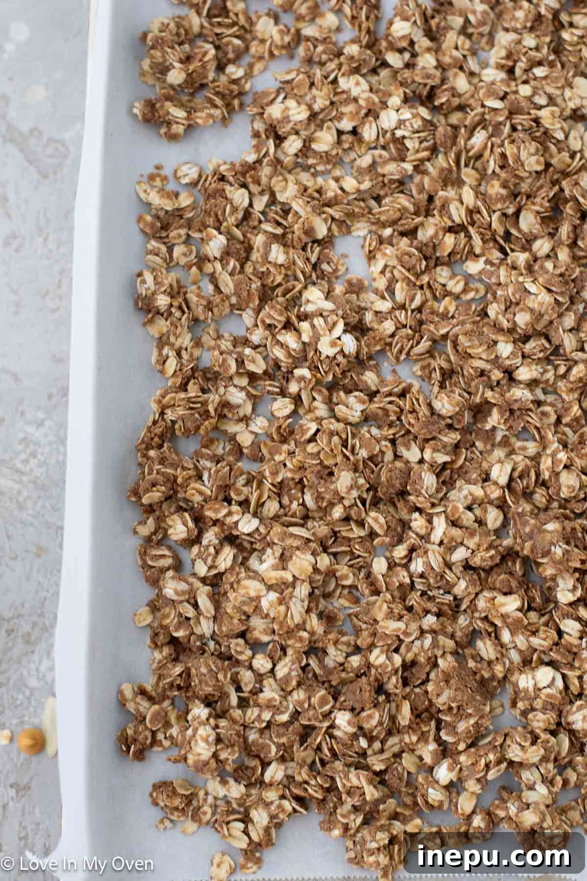 High-Protein Granola Recipe for Extra Energy and Muscle Fuel 6 img 91771 5